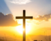 cruz pagina web